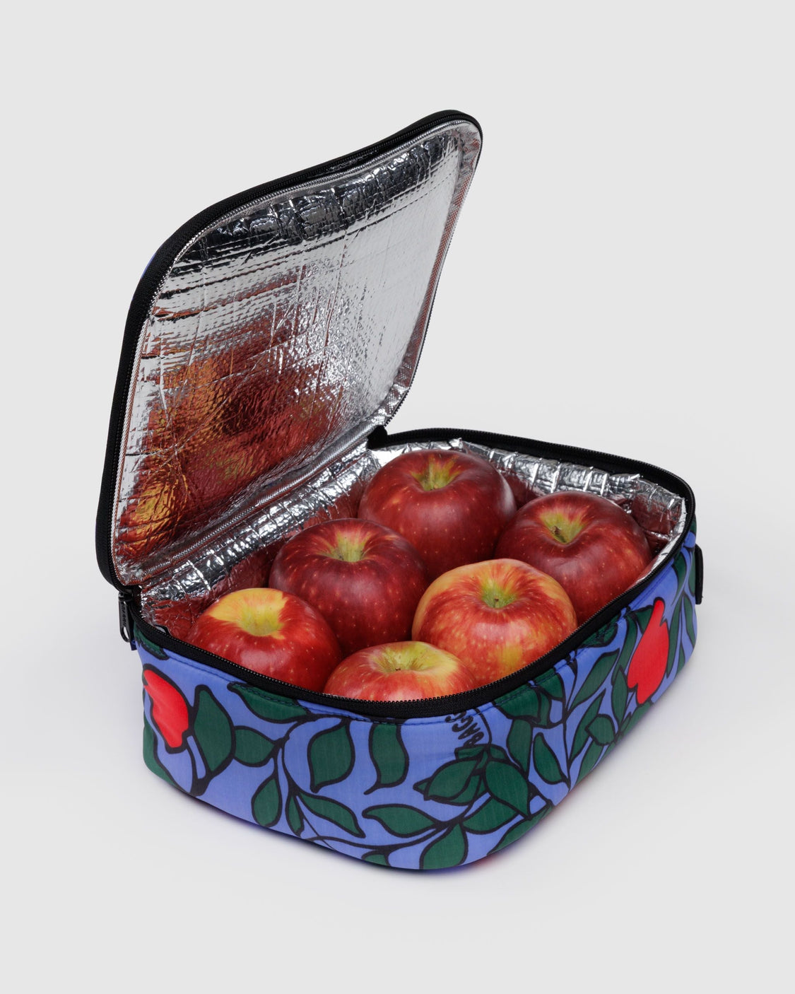 Lunch Box - Apple Tree - Fresh Storage Carry
